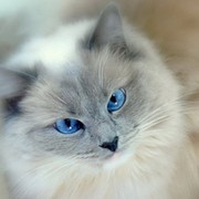 Лариса Малевинская on My World.