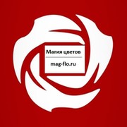 Сергей=Москва mag-flo.ru= цветы в стекле on My World.