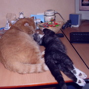 наталия гуляева on My World.