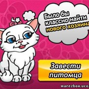 питомцы на фотостране группа в Моем Мире.