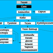 Санжыра кыргыз уруулары схема