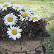 наталья натали on My World.
