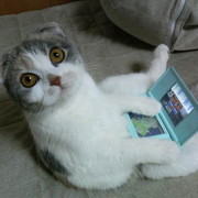 Oleg K on My World.