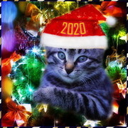 😻 º₵€₽₲€¥ª 🐾♞🐾 ®™ 😻 on My World.