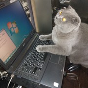 Светлана Радионова on My World.