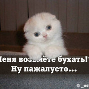 Сергей Соколов on My World.