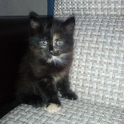 Ирина ****** on My World.