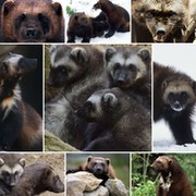 оксана никифорова on My World.