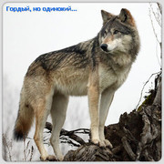 Леший Шатун on My World.