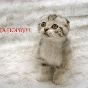 Анатолий Стрельцов on My World.