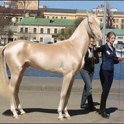 КЕЛЯНИ БАТЧАЕВ on My World.