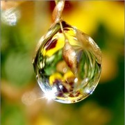 Оксана Капля*** on My World.