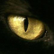 Андрей Четвериков on My World.