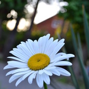® ♪ on My World.