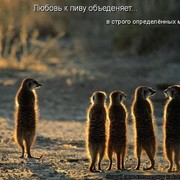 Екатерина Марущенко on My World.