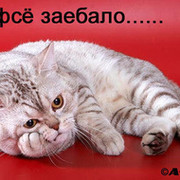 Дамир Габдулхаев on My World.