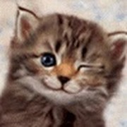 Оля Иванова on My World.