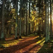 Любовь Быстрова on My World.
