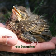 Cама доброта on My World.