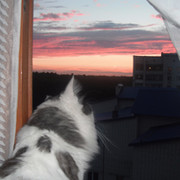 ирина долгова on My World.