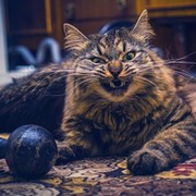 * Видеонаблюдение on My World.