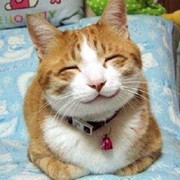 кот чубайс on My World.