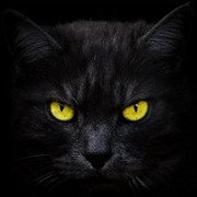 Дима Мухин on My World.