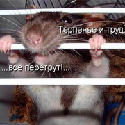 Евгений Симонов on My World.