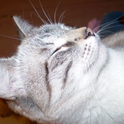 оксана хатина on My World.