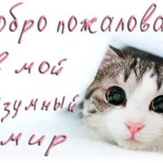 Кот Паразит on My World.