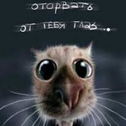 Sergo Medvedev on My World.