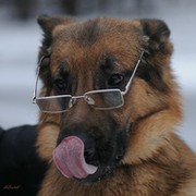 Геннадий Михайлович  Стрелец on My World.