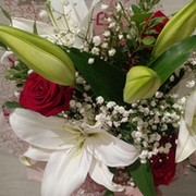 Валентина Файник on My World.