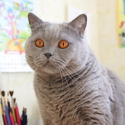 Аэлита Ромашкина on My World.