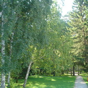 Юлия Дремина on My World.